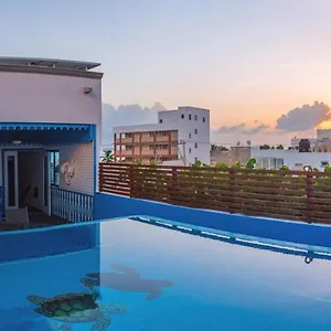 Casa Barco Boutique Alloggio in famiglia Isla Mujeres